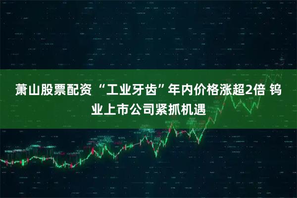 萧山股票配资 “工业牙齿”年内价格涨超2倍 钨业上市公司紧抓机遇