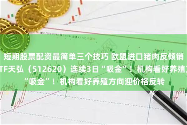 短期股票配资最简单三个技巧 欧盟进口猪肉反倾销税落地，农业ETF天弘（512620）连续3日“吸金”！机构看好养殖方向迎价格反转