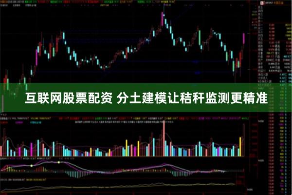 互联网股票配资 分土建模让秸秆监测更精准