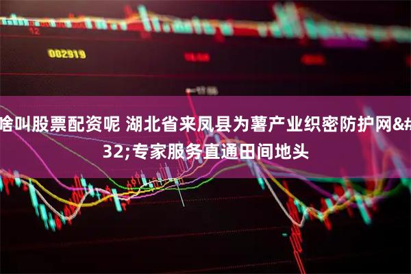 啥叫股票配资呢 湖北省来凤县为薯产业织密防护网 专家服务直通田间地头
