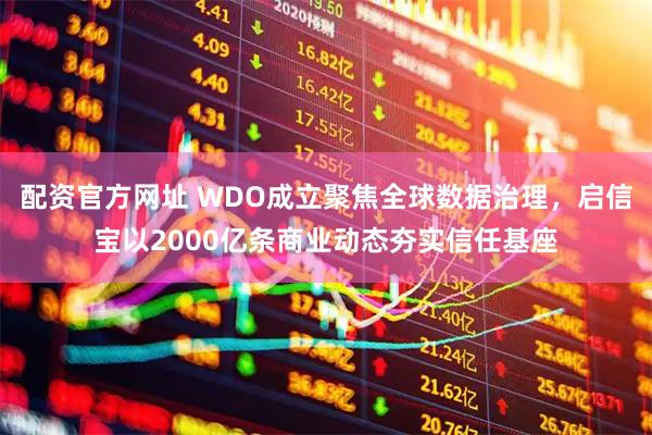 配资官方网址 WDO成立聚焦全球数据治理，启信宝以2000亿条商业动态夯实信任基座